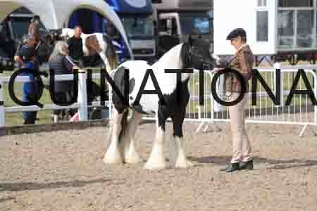 TOM-1158