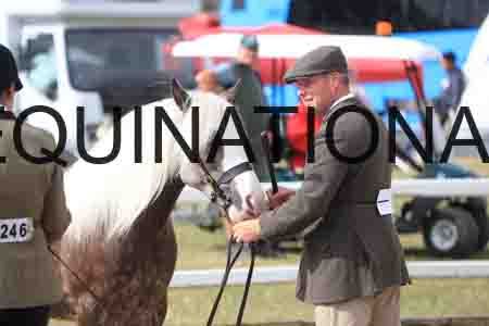 TOM-1166