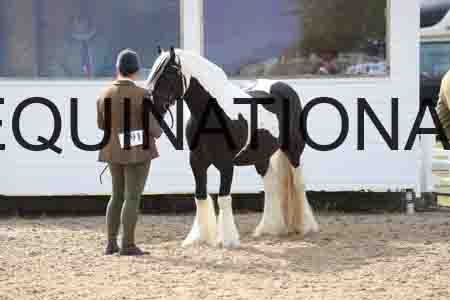 TOM-1167