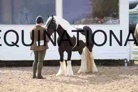 TOM-1168