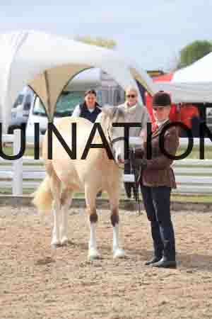 TOM-1172