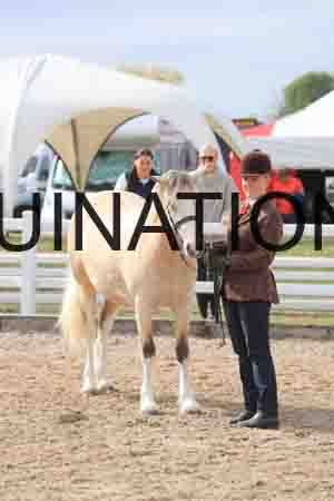 TOM-1173