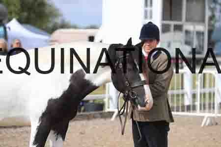TOM-1176