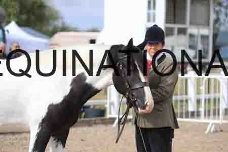 TOM-1177