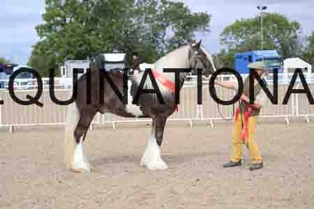 TOM-1179