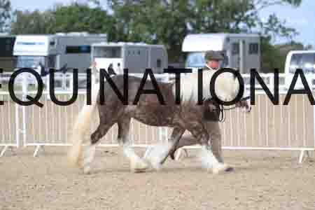 TOM-1194