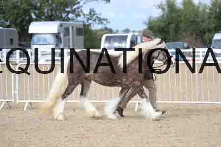 TOM-1195