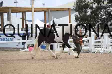 TOM-1202