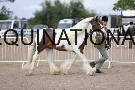 TOM-1218