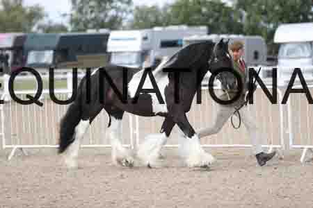TOM-1235