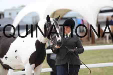 TOM-1258