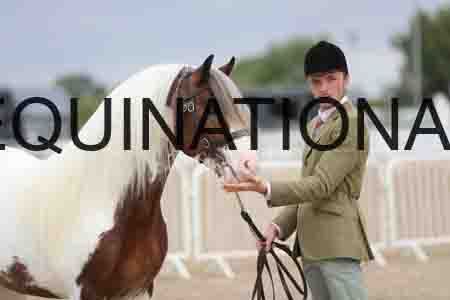 TOM-1261
