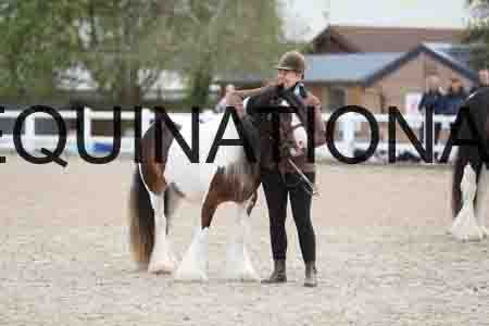 TOM-1264