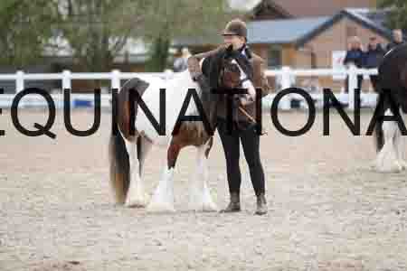 TOM-1265