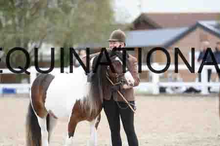 TOM-1266