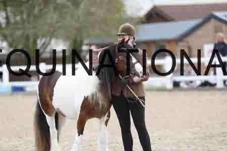 TOM-1267