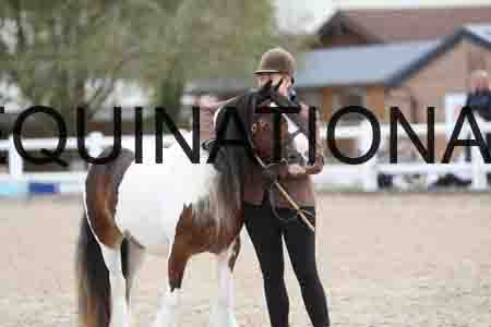 TOM-1268
