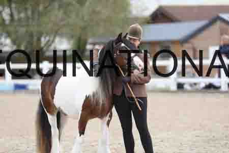 TOM-1269