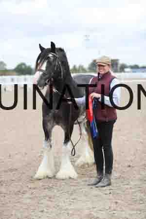 TOM-1270