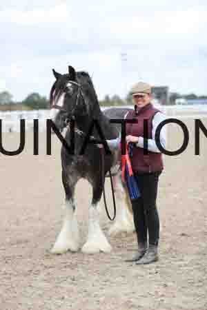 TOM-1272