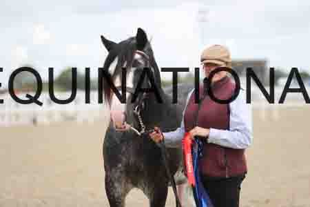 TOM-1273