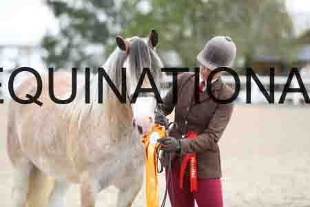 TOM-1276