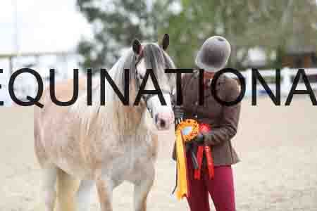 TOM-1277