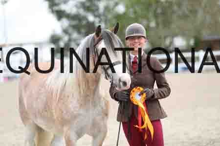 TOM-1278