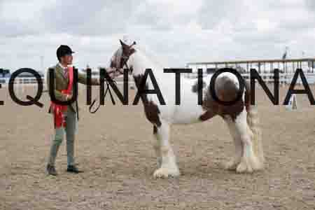 TOM-1283