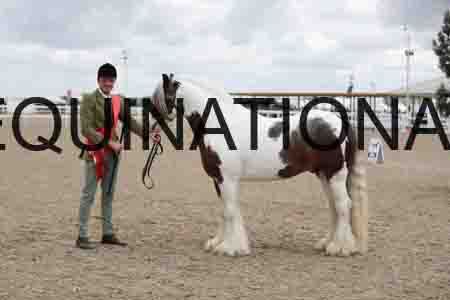 TOM-1285