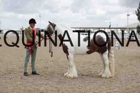 TOM-1287