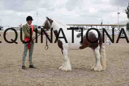 TOM-1289