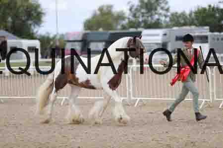 TOM-1292