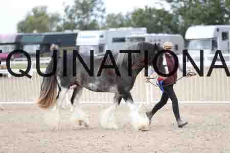 TOM-1298