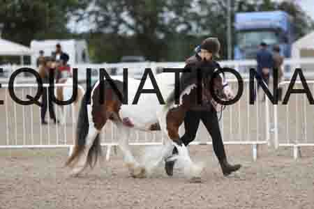 TOM-1309