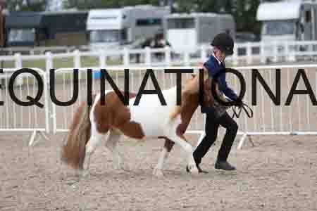 TOM-1343
