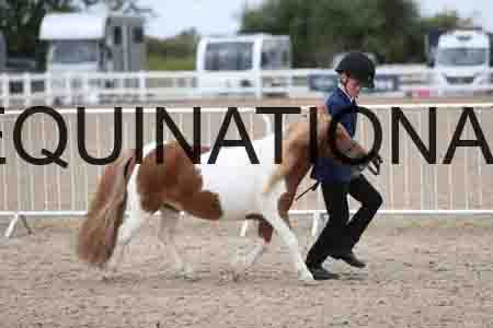 TOM-1345