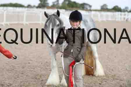 TOM-1354