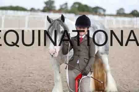 TOM-1355