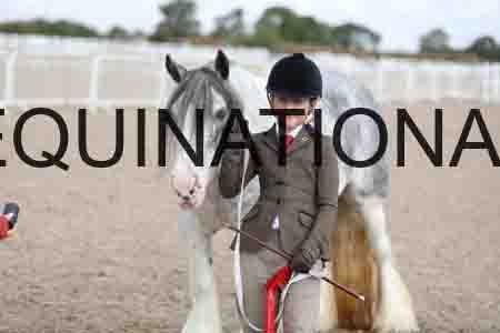TOM-1356