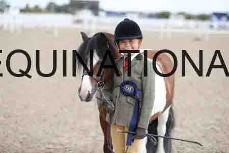 TOM-1361