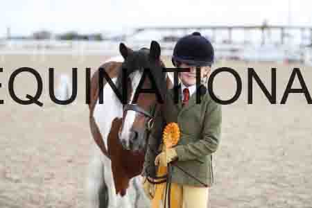 TOM-1363