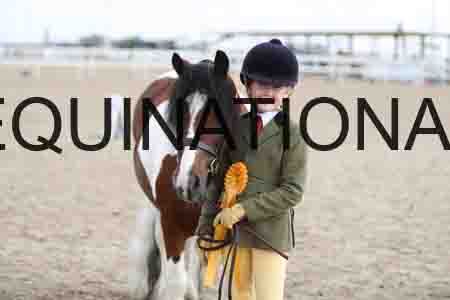 TOM-1364