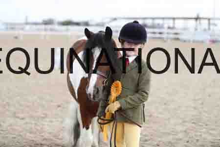TOM-1365