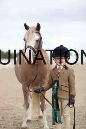 TOM-1367