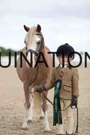 TOM-1368