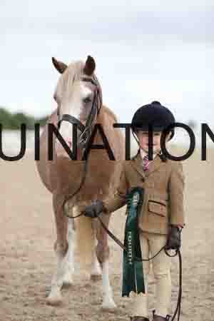 TOM-1369