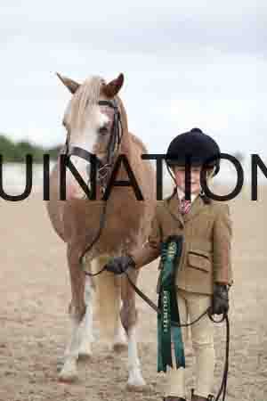 TOM-1370