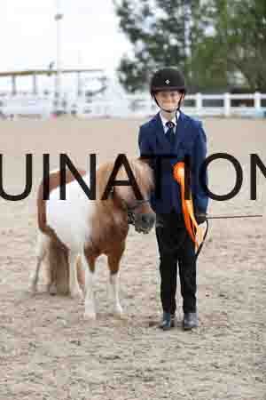 TOM-1371