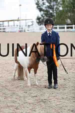 TOM-1372